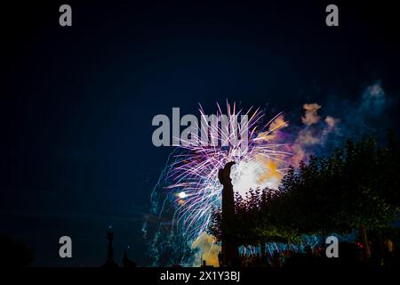 Splendidi fuochi d'artificio al festival delle luci di lago a Bodensee. Costanza, Baden-Württemberg, Germania. Foto Stock