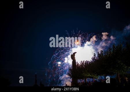 Splendidi fuochi d'artificio al festival delle luci di lago a Bodensee. Costanza, Baden-Württemberg, Germania. Foto Stock