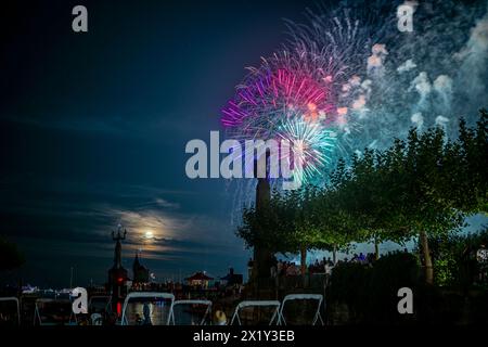 Splendidi fuochi d'artificio al festival delle luci di lago a Bodensee. Costanza, Baden-Württemberg, Germania. Foto Stock