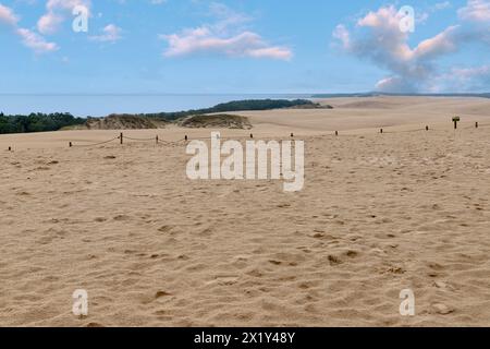 Dune mobili Łącka Góra (Lanske Dune, Lacka Gora; Lonske Dune) e Sahara polacco nel Parco Słowiński Narodowy (Slowinski National Park) nei Pomors Foto Stock