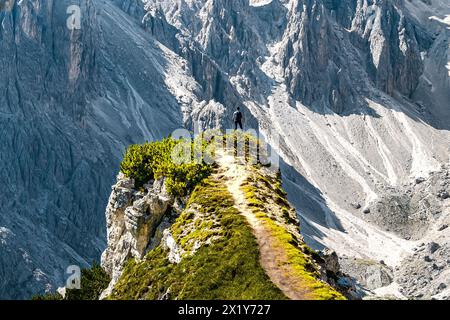 Descrizione: La donna atletica cammina su un punto panoramico super epico con la catena montuosa dei Cadini di Misurina al mattino. Tre Cime, Dolomiti, alto Adige, IT Foto Stock