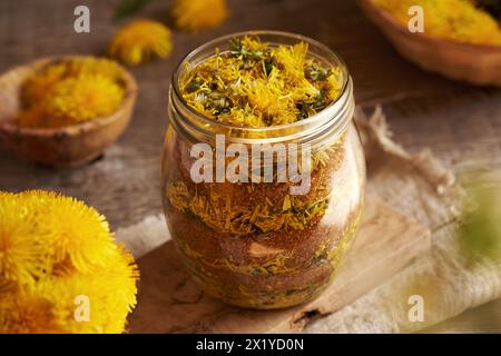 Preparazione di sciroppo di tarassio da fiori freschi e zucchero di canna in un vaso di vetro Foto Stock