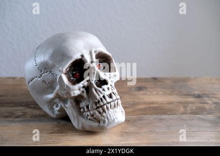 modello di un cranio umano su una vecchia tavola di legno, il concetto di transitorietà della vita, l'inevitabilità della morte Foto Stock