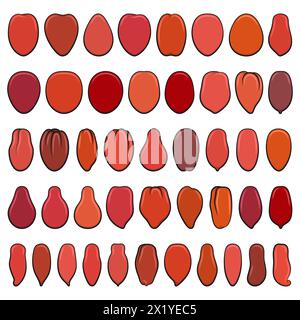 Set di illustrazioni a colori con pomodori rossi. Oggetti vettoriali isolati su sfondo bianco. Illustrazione Vettoriale
