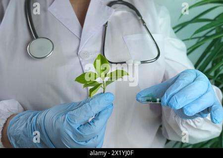 scienziata donna prepara un campione di una foglia per l'analisi in un laboratorio universitario, studia il dna delle piante, la scienza concettuale, la chimica, il laboratorio biologico Foto Stock