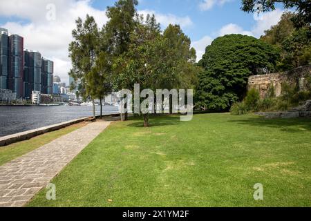 Balmain, Sydney, la riserva Illoura e l'area del parco accanto al porto di Sydney con vedute delle torri degli uffici di Barangaroo e del porto di Darling, Sydney, Australia Foto Stock