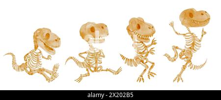 Scheletro di dinosauro Tyrannosaurus Rex . I personaggi dei cartoni animati di acquerello . Set 4 di 4 . Vettore . Illustrazione Vettoriale