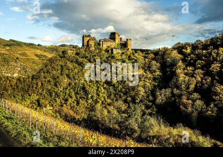 Atmosfera autunnale sul Reno, vista sui vigneti di Schönburg, Oberwesel, alta valle del Medio Reno, Renania-Palatinato, Germania Foto Stock