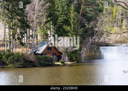 Una giornata di sole allo stagno. Foto Stock