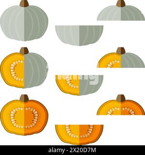 Set di Crown Prince squash. Squash invernale. Cucurbita maxima. Frutta e verdura. Stile piatto. Illustrazione vettoriale isolata. Illustrazione Vettoriale