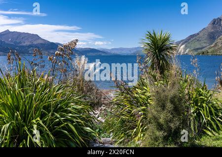 Splendidi colori nel giardino fiorito della Walter Peak High Country Farm Foto Stock