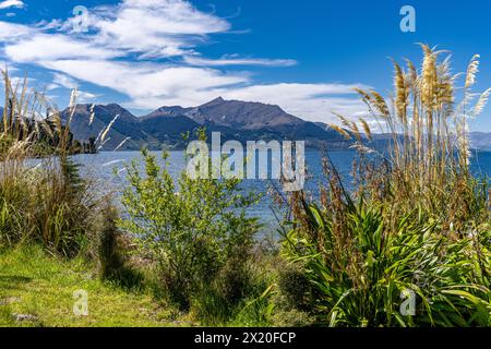 Splendidi colori nel giardino fiorito della Walter Peak High Country Farm Foto Stock