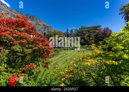 Splendidi colori nel giardino fiorito della Walter Peak High Country Farm Foto Stock