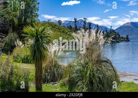 Splendidi colori nel giardino fiorito della Walter Peak High Country Farm Foto Stock