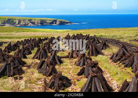 Irlanda, contea di Mayo, costa nord-occidentale, Glenloss Point, guardando a nord verso l'Atlantico, mattoni di torba Foto Stock