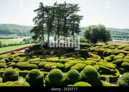 Boxwood Garden, Les Jardins de Marqueyssac, Vezac, Dordogne, Périgord, dipartimento Dordogne, regione Nouvelle-Aquitaine, Francia Foto Stock