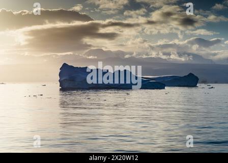 Iceberg nello stretto di Orleans al largo della costa Davis della Penisola Antartica Foto Stock