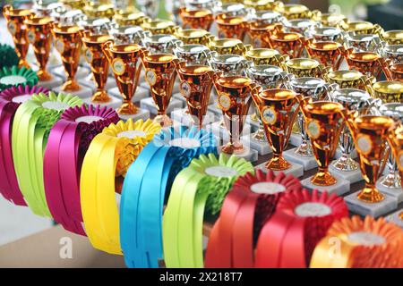 Gruppo di bellissimi trofei colorati e nastri per i vincitori e i partecipanti all'evento equestre all'aperto Foto Stock