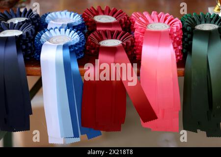 Gruppo di bellissimi trofei colorati e nastri per i vincitori e i partecipanti all'evento equestre all'aperto Foto Stock