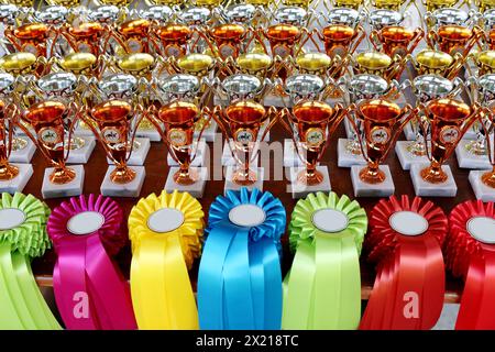 Gruppo di bellissimi trofei colorati e nastri per i vincitori e i partecipanti all'evento equestre all'aperto Foto Stock