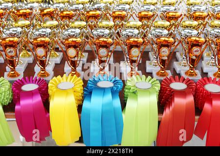 Gruppo di bellissimi trofei colorati e nastri per i vincitori e i partecipanti all'evento equestre all'aperto Foto Stock