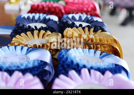 Gruppo di bellissimi trofei colorati e nastri per i vincitori e i partecipanti all'evento equestre all'aperto Foto Stock