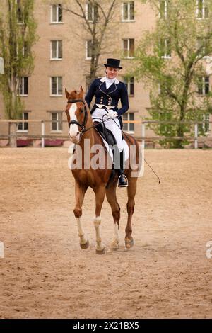 Cavaliere Dressage e cavallo di castagno in un'arena urbana sabbiosa. Sessione di guida. Fantino femminile. Sport equestre. Scuola di equitazione Foto Stock