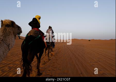 Piccola carovana di cammelli e cavalieri in partenza, retroilluminata da un sole nascente che getta ombre sottili sulle sabbie dorate di Merzouga. Foto Stock