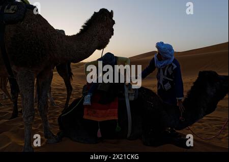 Cammella marocchina in un turbante e vestaglia assiste una giovane turista mentre monta un cammello seduto, mettendo la gamba sull'animale. Foto Stock