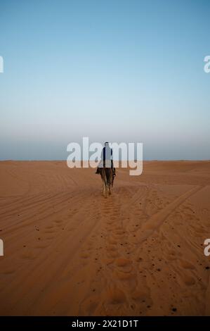 Seguendo un cammello di mezza età nell'alba azzurra e nebbiosa del deserto di Merzouga, il suo dromedario percorre un sentiero sabbioso segnato da più tracce. Foto Stock