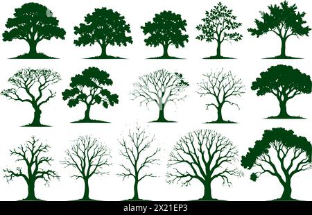 Una collezione di sagome di alberi in vari stadi di crescita. Gli alberi sono tutti verdi e sembrano trovarsi in diverse fasi della vita Illustrazione Vettoriale