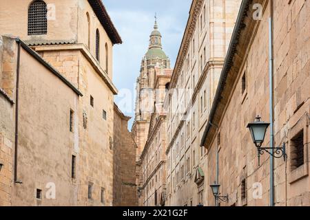 Strada aziendale e portale la Clerecía a Salamanca Foto Stock