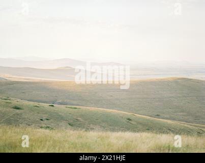 Dolci colline del Montana bagnate da un'ora d'oro Foto Stock