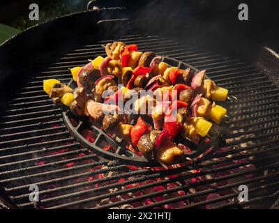 Shish Kaboobs BBQ on Grill Foto Stock