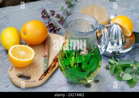 Tè freddo fatto in casa a base di tè alle erbe con succo di mela, succo d'arancia, menta d'acqua, maggiorana selvatica, fase 1: Ingredienti, immagine della serie 1/6 Foto Stock