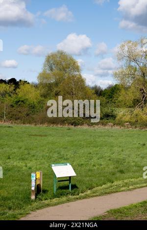 Leam Valley Local Nature Reserve, Newbold Comyn, Leamington Spa, Warwickshire, Inghilterra, REGNO UNITO Foto Stock