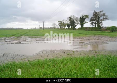 colture allagate nel campo agricolo durante le forti piogge york yorkshire regno unito Foto Stock