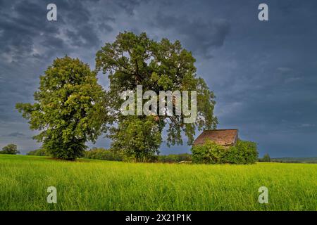 Fienile a Oberland, Weilheim, Baviera, Germania, Europa Foto Stock