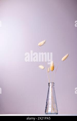 Emulando la bellezza della natura con un vaso di vetro pieno di erbe secche. Un tocco minimalista ma sorprendente che aggiunge un tocco di serenità alla tua Foto Stock