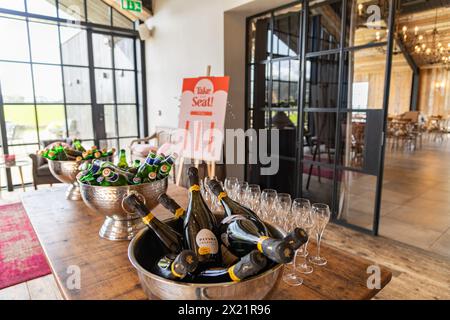 Bottiglie di birra, champagne e prosecco in secchi di ghiaccio per gli ospiti al ricevimento di nozze presso la Botley Hill Farm a Surrey, Regno Unito Foto Stock