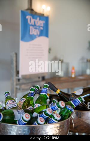 Bottiglie di birra, champagne e prosecco in secchi di ghiaccio per gli ospiti al ricevimento di nozze presso la Botley Hill Farm a Surrey, Regno Unito Foto Stock