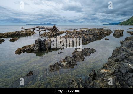 Pukerua Bay e Kapiti Island, Porirua, Wellington Region, Kapiti Coast, NorthIsland, Nuova Zelanda Foto Stock