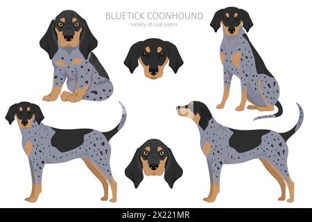 Bluetick coonhound clipart. Diversi colori del cappotto e set di pose. Illustrazione vettoriale Illustrazione Vettoriale