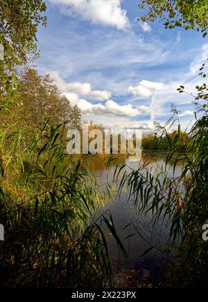 Ex laghi da cava sul meno vicino a Grafenrheinfeld, distretto di Schweinfurt, bassa Franconia, Franconia, Baviera, Germania Foto Stock