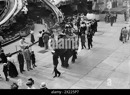 Coney Island, cavalcando Elefante, 1911. Foto Stock