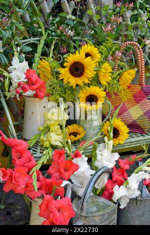 BOTANY, ADDITIONAL-RIGHTS-CLEARANCE-INFO-NOT-AVAILABLE Foto Stock