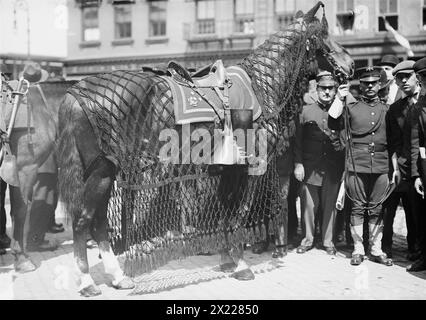 Cavallo del generale Grant, 1912. Mostra cavallo senza cavalleria alla processione funebre il 26 aprile 1912, per il maggior generale Frederick Dent Grant (1850-1912), figlio del presidente Ulysses S. Grant, ex Commissario di polizia di New York e comandante della Eastern Division dell'esercito statunitense. Foto Stock