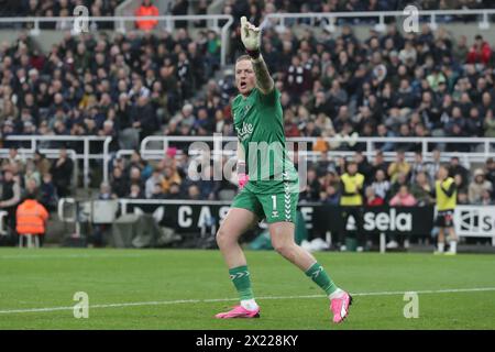 Jordan Pickford of Everton - Newcastle United V Everton, Premier League, St James' Park, Newcastle upon Tyne, Regno Unito - 2 aprile 2024 solo uso editoriale - si applicano restrizioni DataCo Foto Stock