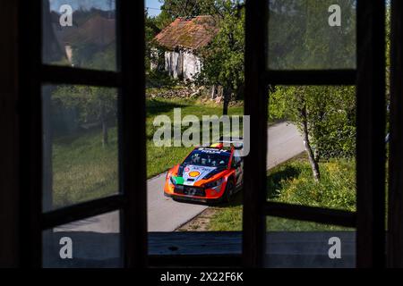 Zagabria, Croazia. 19 aprile 2024. KRASIC -SOCICE, CROAZIA - 19 APRILE: Thierry Neuville (Belgio) e Martijn Wydaeghe (Belgio) dal team di rally mondiale Hyundai Shell Mobis durante la seconda giornata del 19 aprile 2024 a Krasic - Sosice, Croazia. Foto: Igor Kralj/Pixsell credito: Pixsell/Alamy Live News Foto Stock