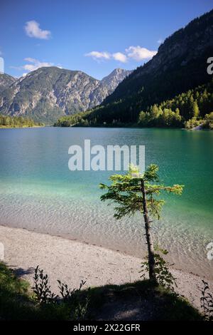 Riva di Plansee, distretto di Reutte, Alpi Ammergau, Tirolo, Austria, Europa Foto Stock